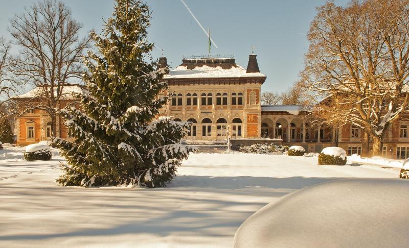 Hotel König Albert image
