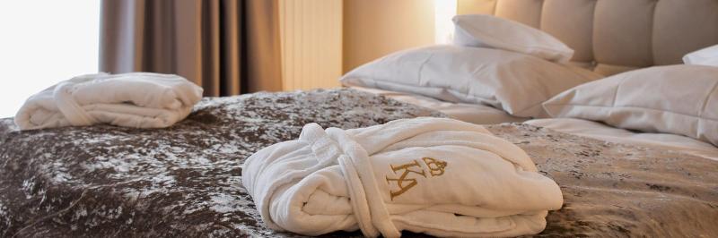 Hotel König Albert image