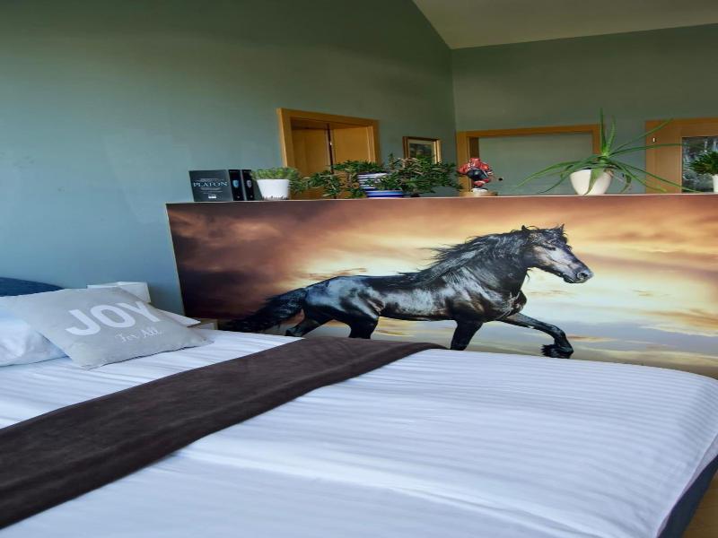 Rudi Hiti Guest House image