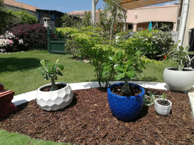 Gîte le Pavachon image