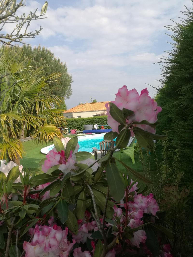 Gîte le Pavachon image