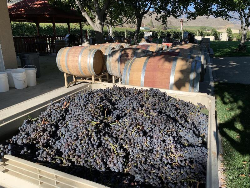 Sonora Desert Winery and Countryside B&B