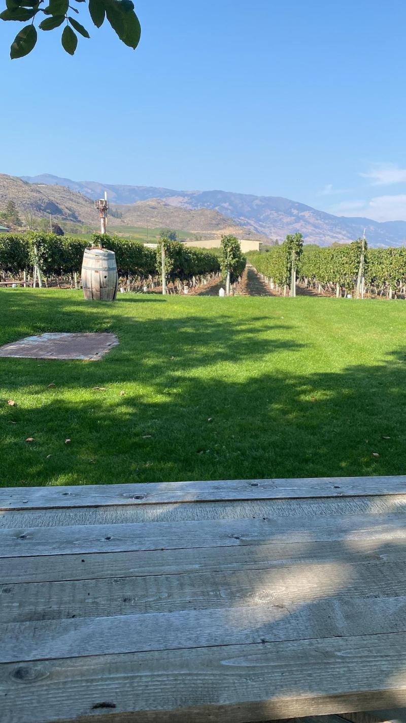 Sonora Desert Winery and Countryside B&B