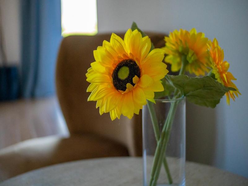 Sonora Desert Winery and Countryside B&B