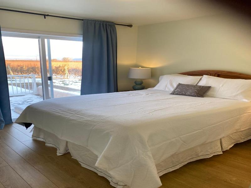 Sonora Desert Winery and Countryside B&B