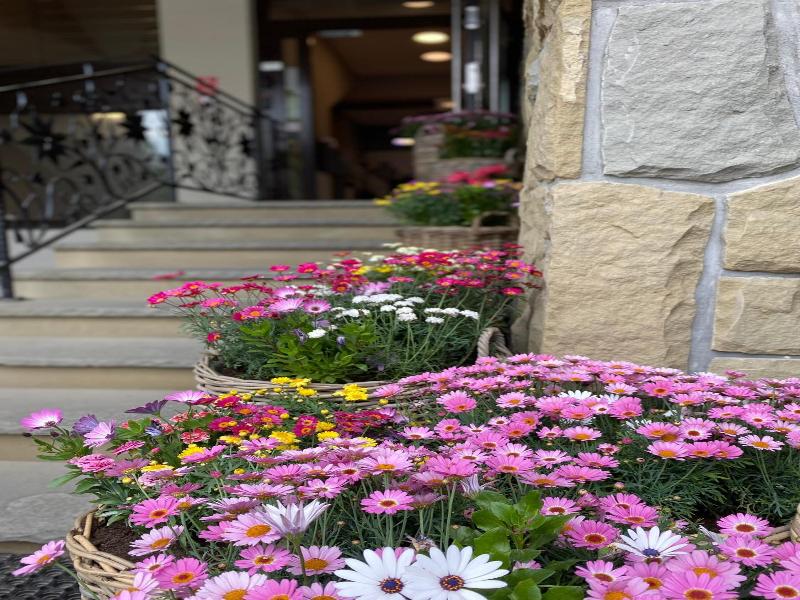 Hotel Nosal image