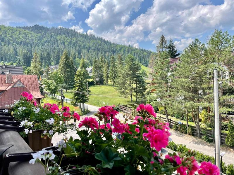 Hotel Nosal image