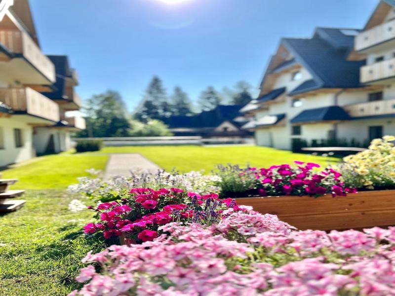 Hotel Nosal image