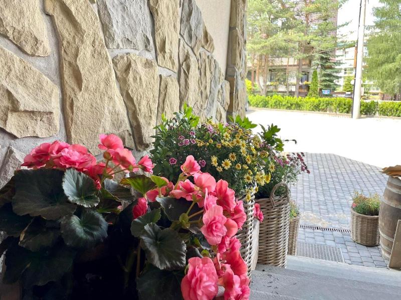 Hotel Nosal image