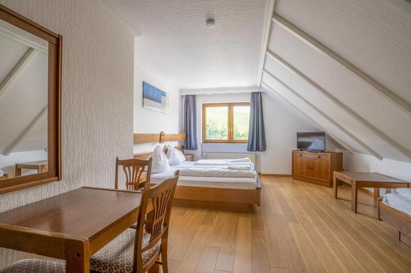 Hotel zum Mühlengarten image