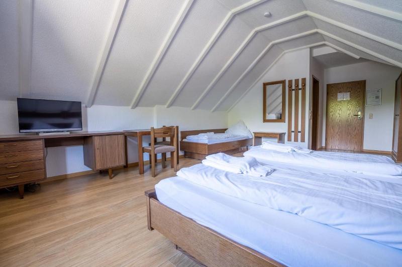 Hotel zum Mühlengarten image