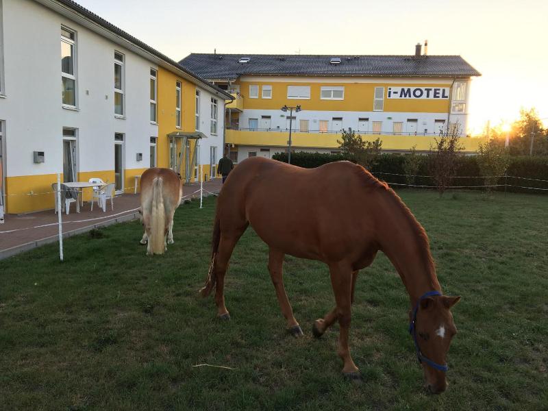 i-Motel image