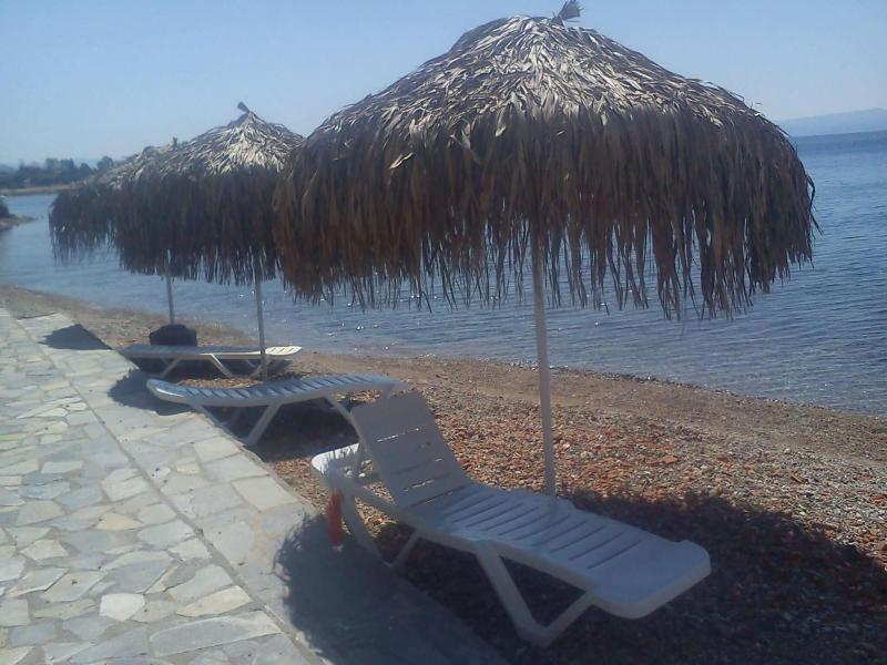 Hotel Lefkadi image