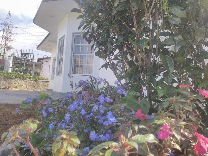 The Fern Inn — photo 3