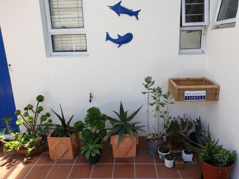 Bluesky Guest House Arniston image