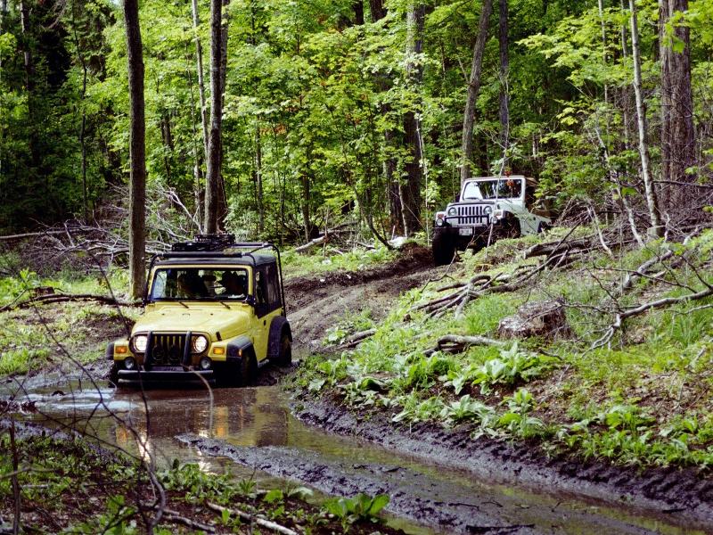 Drummond Island Resort image