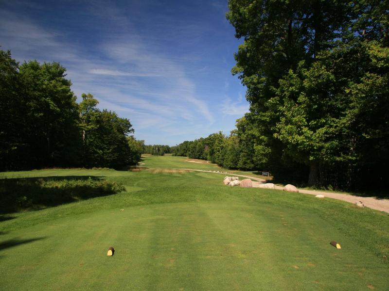 Drummond Island Resort image