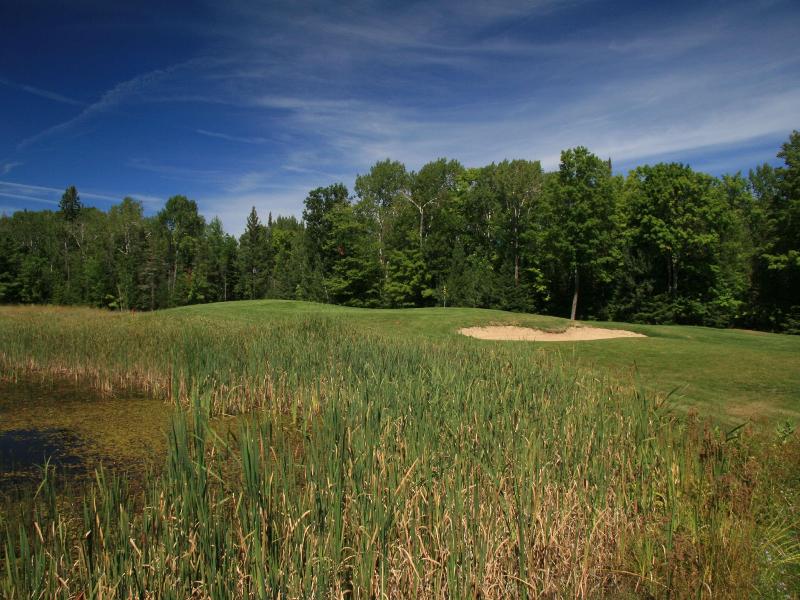 Drummond Island Resort image