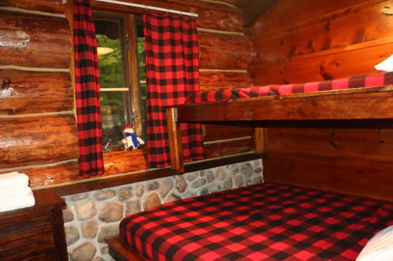 Drummond Island Resort image