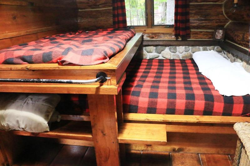 Drummond Island Resort image