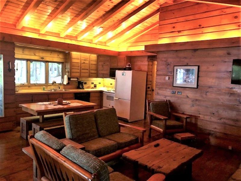 Drummond Island Resort image