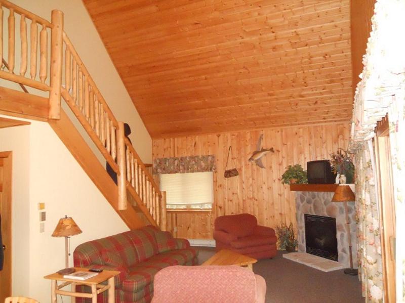 Drummond Island Resort image