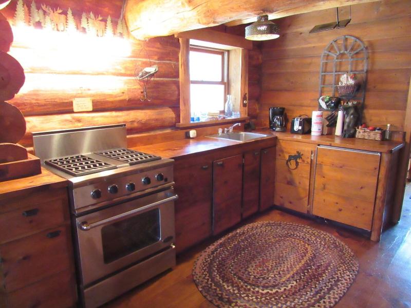 Drummond Island Resort image