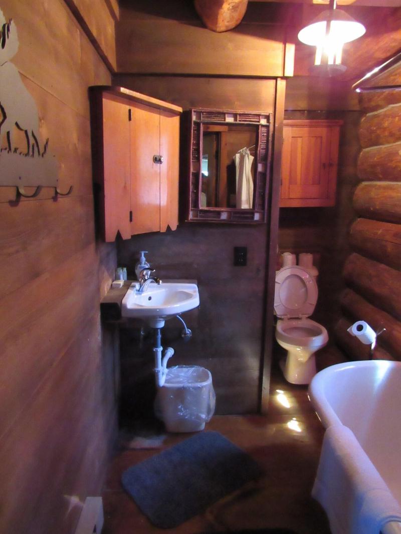 Drummond Island Resort image