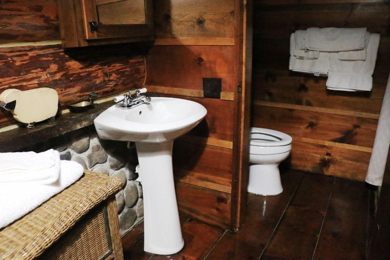 Drummond Island Resort image