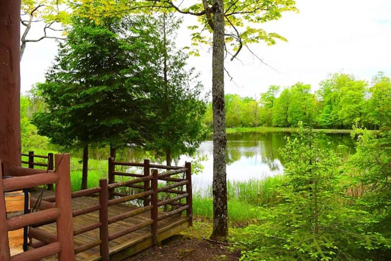 Drummond Island Resort image