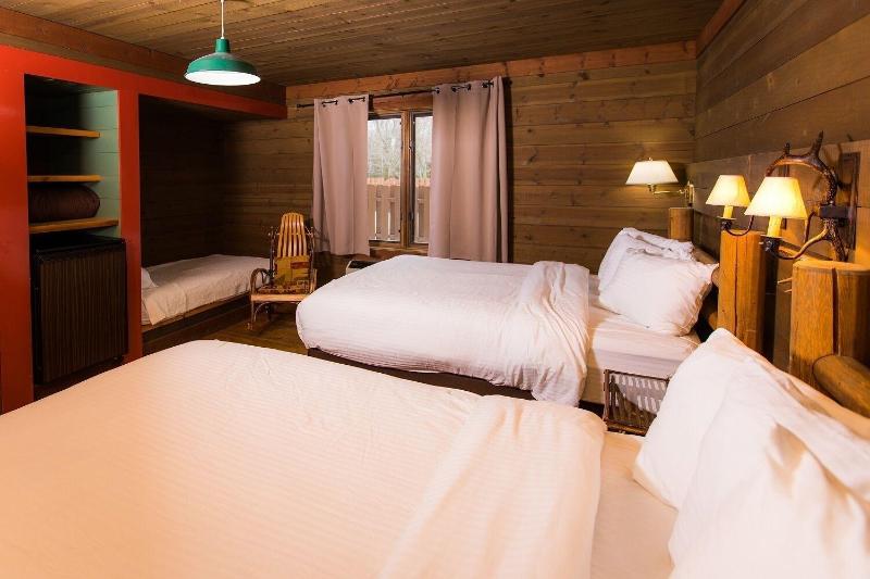 Drummond Island Resort image 4