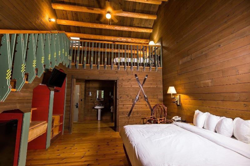 Drummond Island Resort image