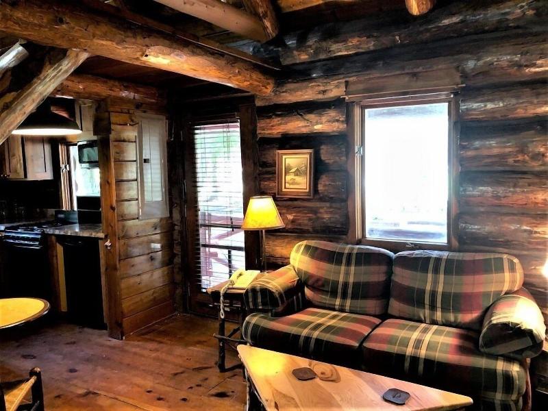Drummond Island Resort image