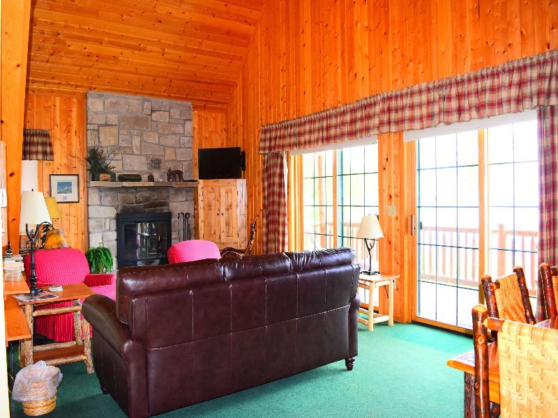Drummond Island Resort image