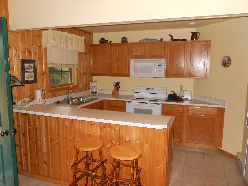 Drummond Island Resort image