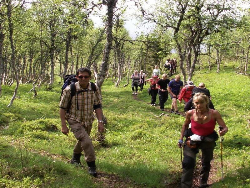 Buustamons Fjällgård
