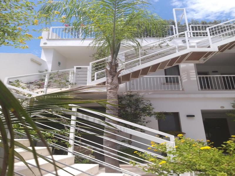 B&B Melanella image