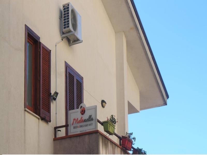B&B Melanella image