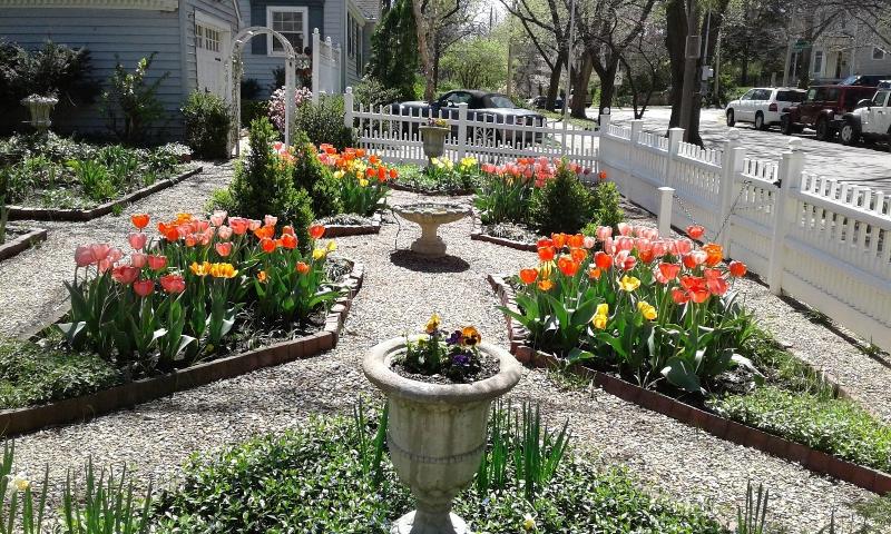 Moore House Bed And Breakfast image
