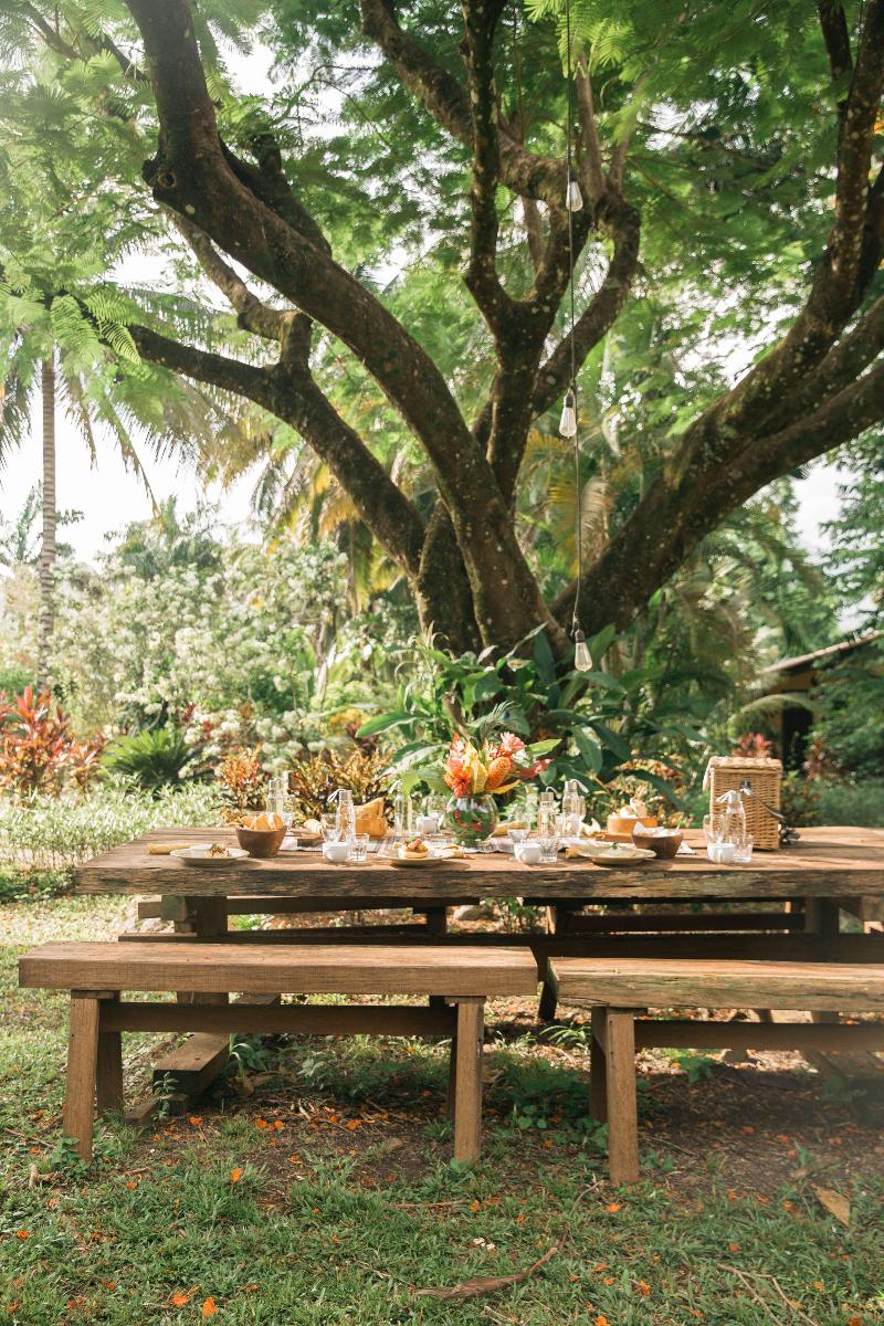 Sleeping Giant Rainforest Lodge image