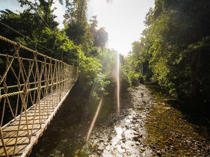 Sleeping Giant Rainforest Lodge image