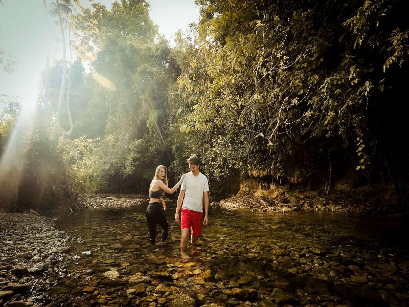 Sleeping Giant Rainforest Lodge image