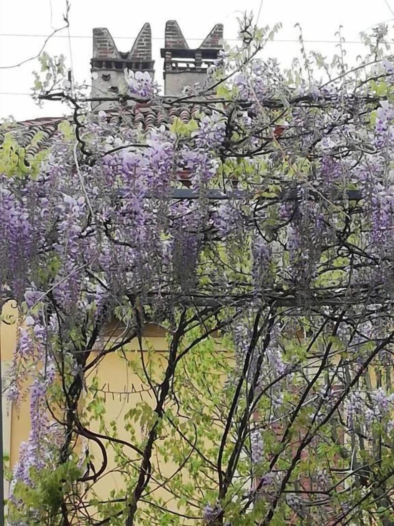 Lisander Bed & Breakfast image