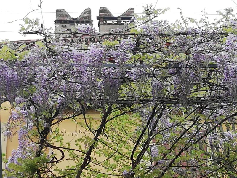 Lisander Bed & Breakfast image