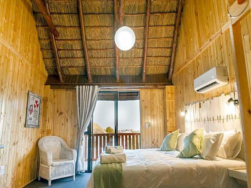 Kalahari Lion's Rest image