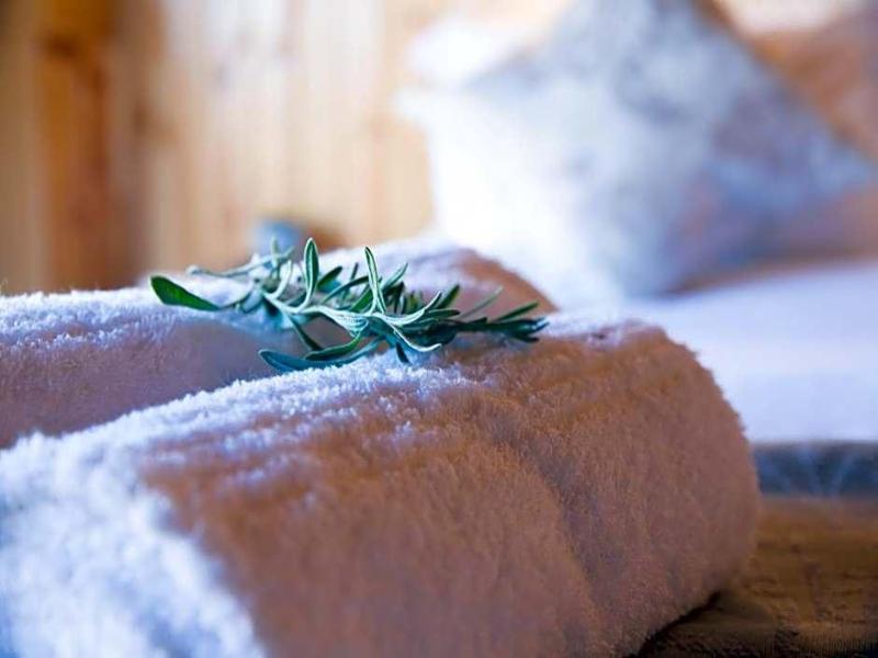 Kalahari Lion's Rest image