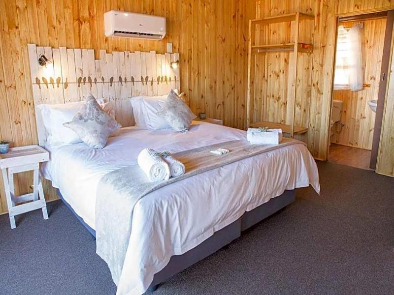 Kalahari Lion's Rest image