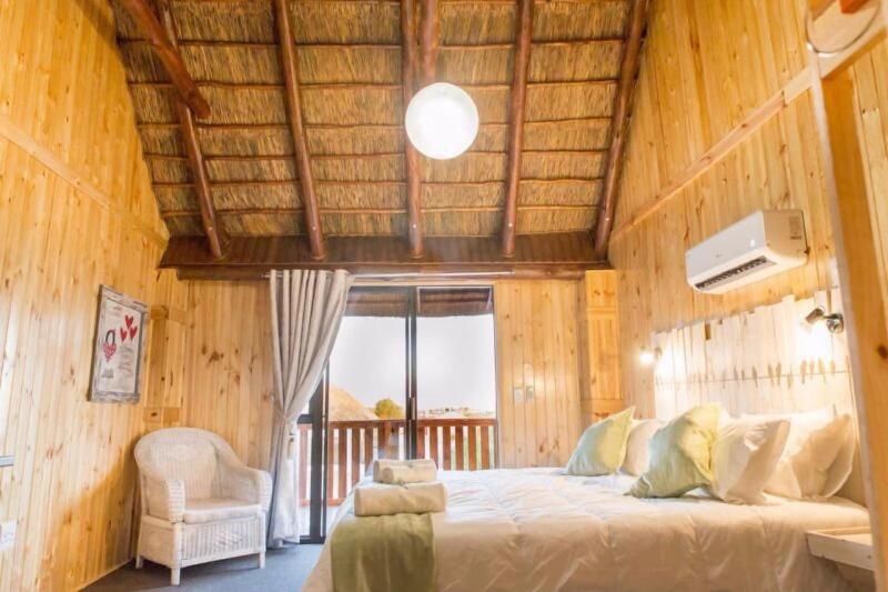 Kalahari Lion's Rest image