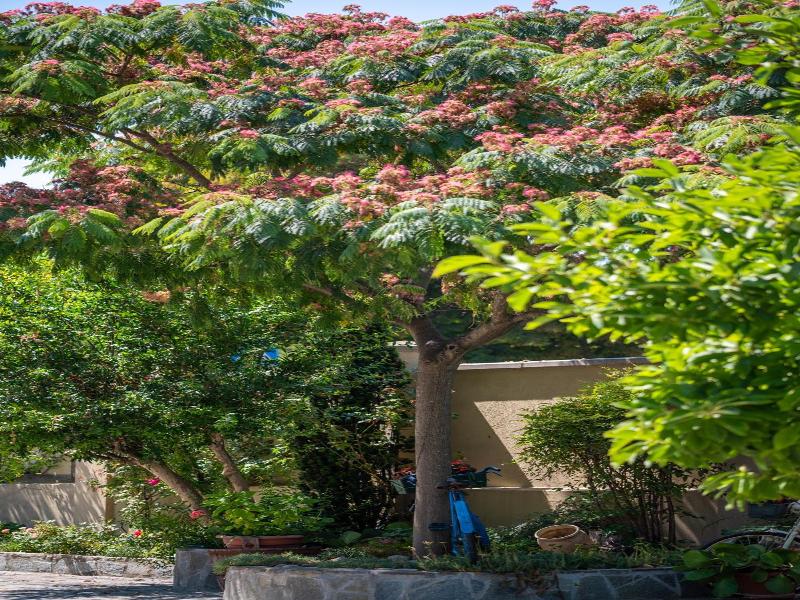 Villa Mery image