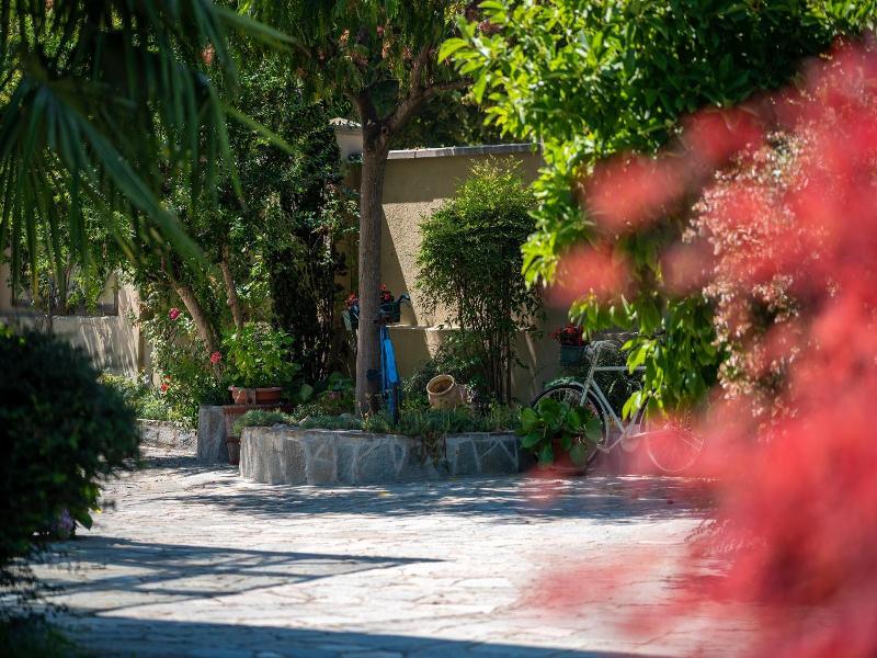 Villa Mery image